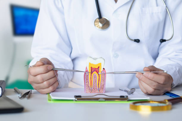 Best Emergency Dentist for Special Needs Patients in Lenexa, KS